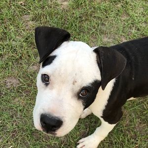 Meet your Posher, Nikki